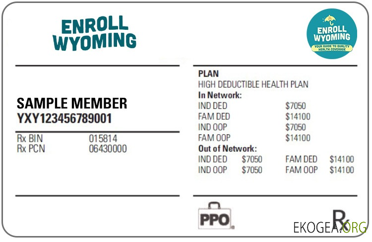 Carte d'assurance maladie du Wyoming